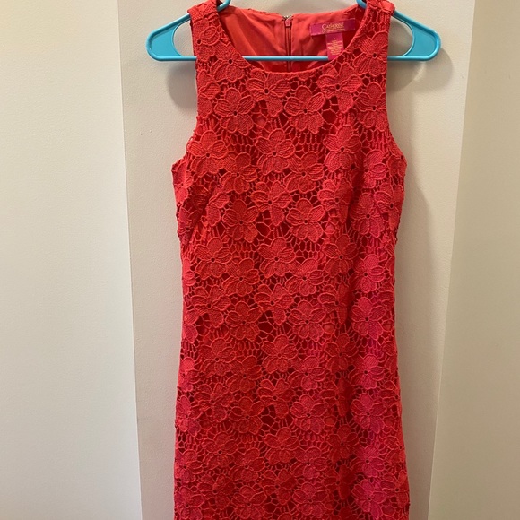 Catharine Malandrino Coral Lace Dress - Picture 1 of 11